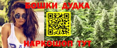 a pvp Заводоуковск