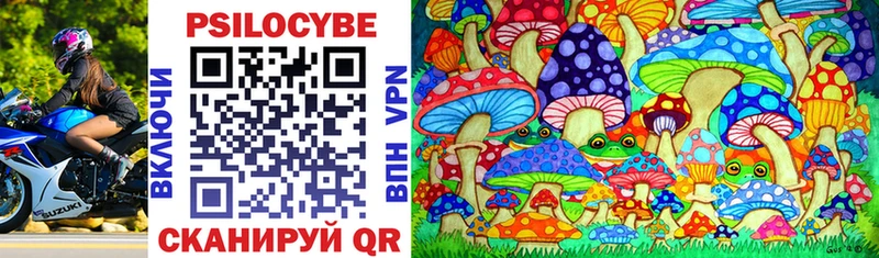 Галлюциногенные грибы Cubensis  продажа наркотиков  Киреевск 