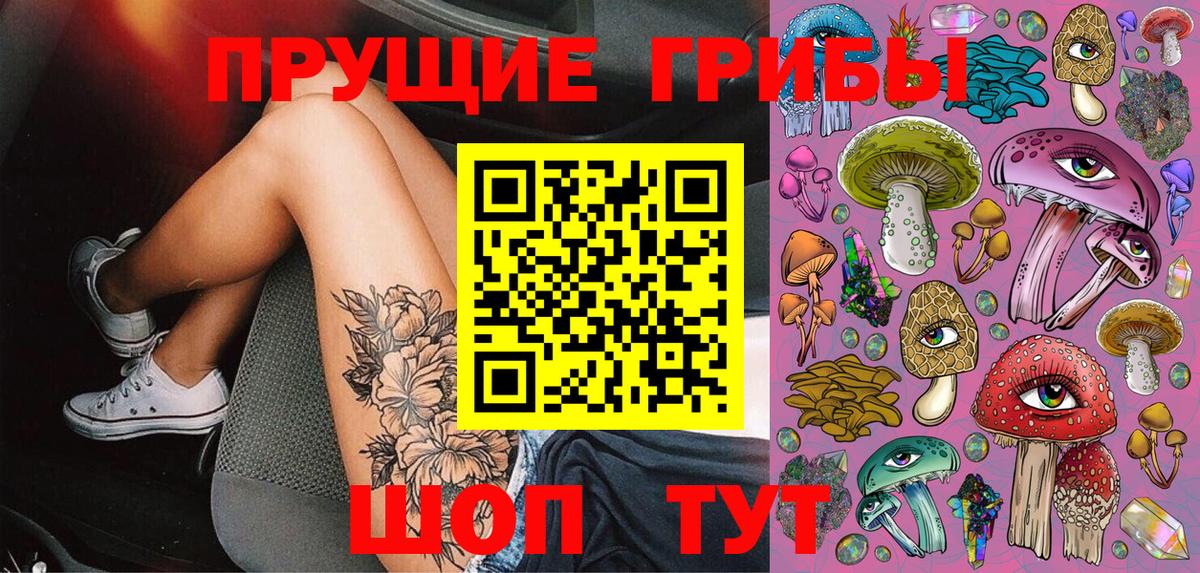 Галлюциногенные грибы Psilocybe Киреевск